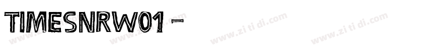 TimesNRW01 字体转换